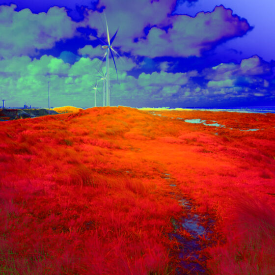 michiel van bakel false color photo dunes tata steel